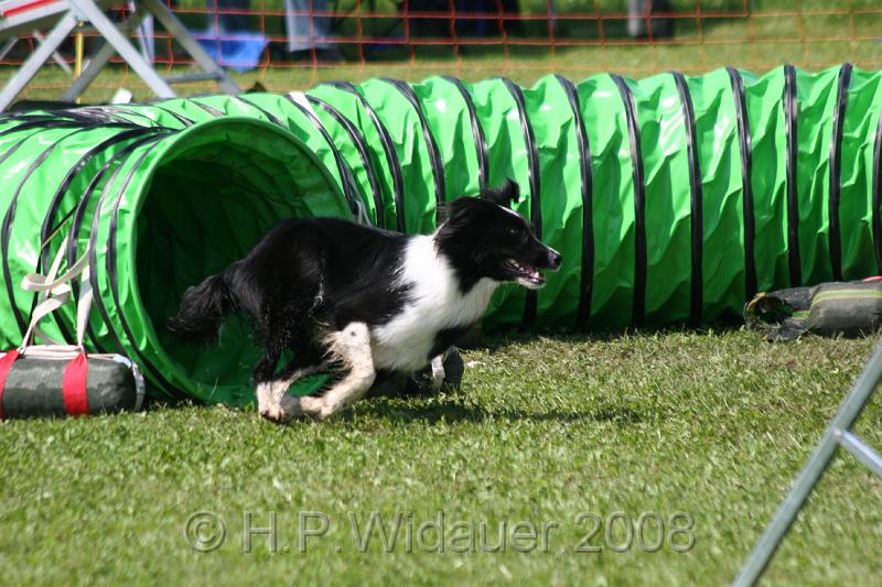 jubil.lusten. 309.jpg